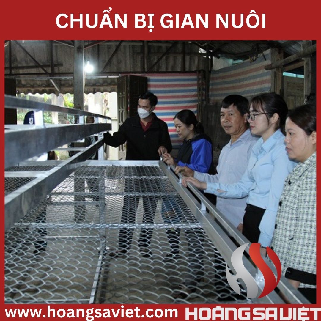 chuan bi gian nuoi