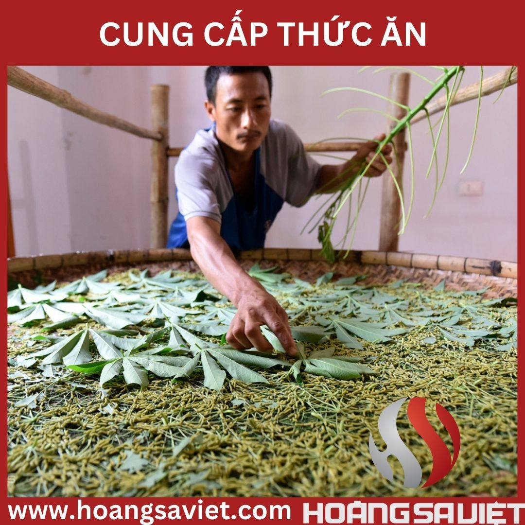 cung cap thuc an