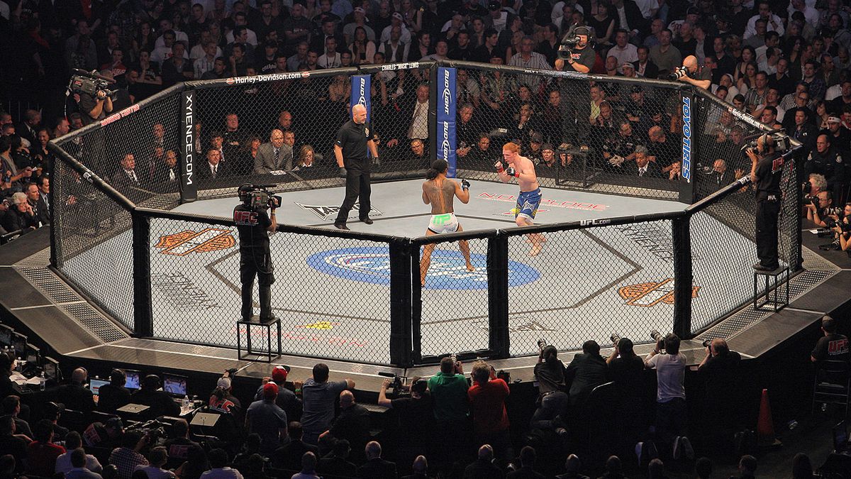 UFC标准MMA格斗竞技场 UFC标准MMA格斗竞技场