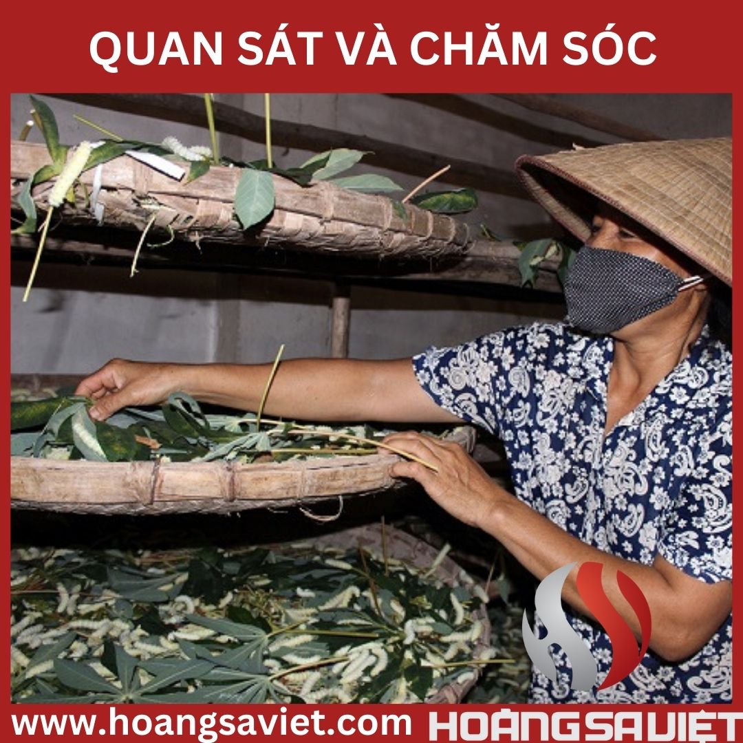 quan sat va cham soc