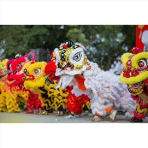 Tỉnh Đắk Nông ❤️️ #top10 Dịch Vụ Cung Cấp Cho Thuê Lân Sư Rồng, Sự Kiện Tỉnh Đắk Nông ❤️️ #top10 Dịch Vụ Cung Cấp Cho Thuê Lân Sư Rồng, Sự Kiện