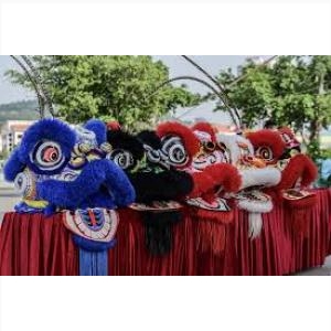 Vinh Long ❤️️ #top10 Services Providing Lion and Dragon Rentals, Events Vinh Long ❤️️ #top10 Services Providing Lion and Dragon Rentals, Events