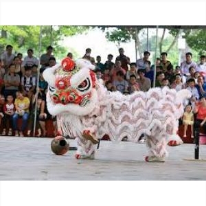 An Giang ❤️️ #top10 Services Providing Lion and Dragon Rentals, Events An Giang ❤️️ #top10 Services Providing Lion and Dragon Rentals, Events