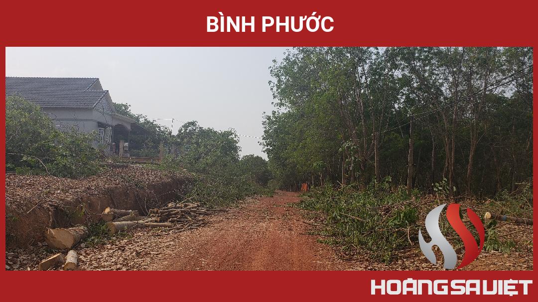 Bình Phước Bình Phước
