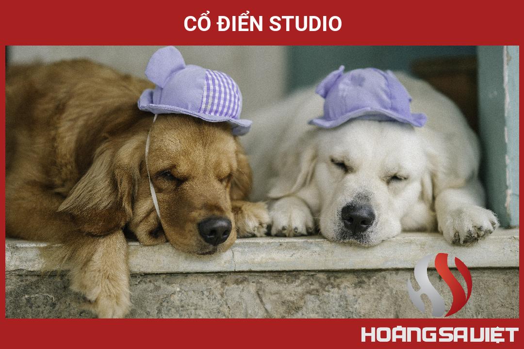 Cổ Điển Studio Cổ Điển Studio