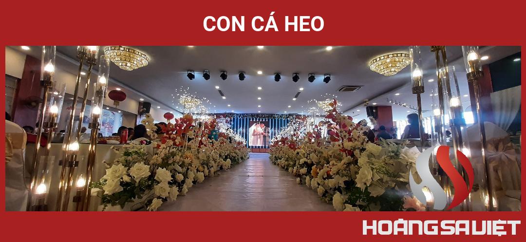 Con Cá Heo Con Cá Heo