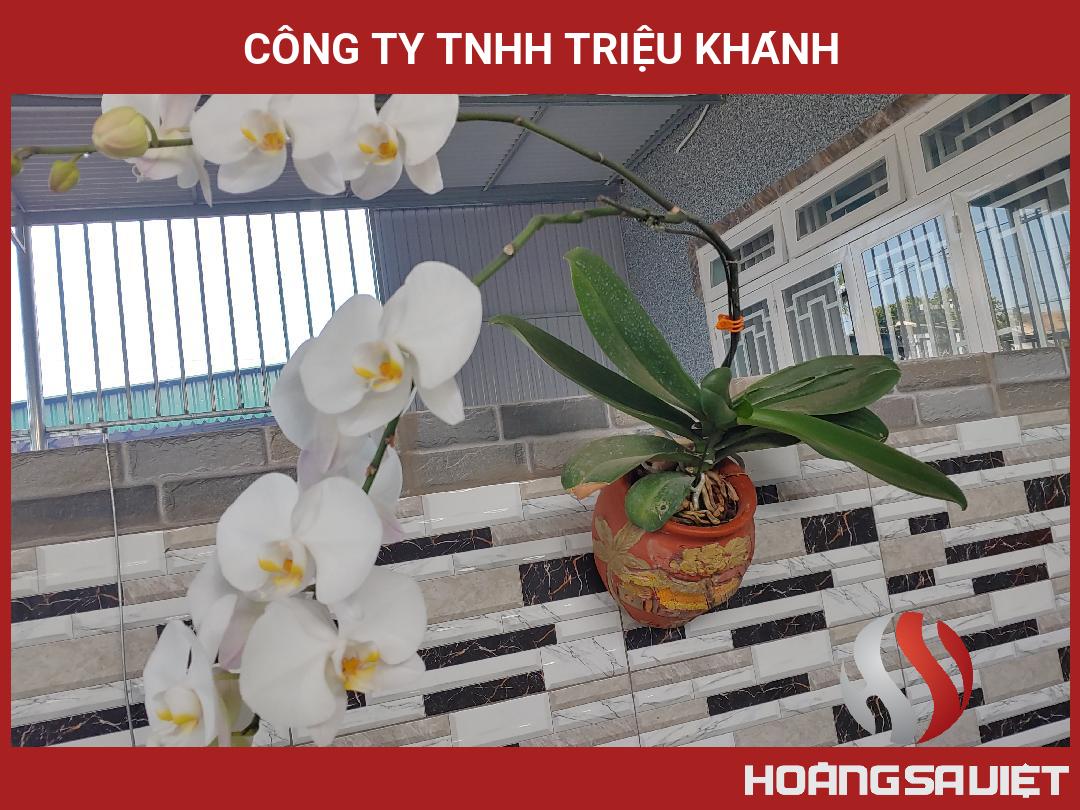 Công Ty TNHH Triệu Khánh Công Ty TNHH Triệu Khánh