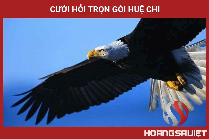 Cưới Hỏi Trọn Gói Huệ Chi Cưới Hỏi Trọn Gói Huệ Chi