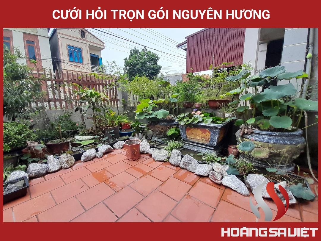 Cưới Hỏi Trọn Gói Nguyên Hương Cưới Hỏi Trọn Gói Nguyên Hương