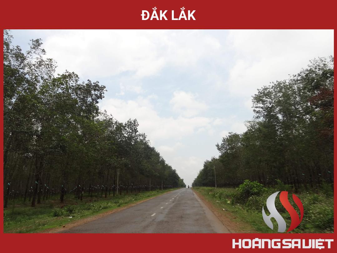 Đắk Lắk Đắk Lắk
