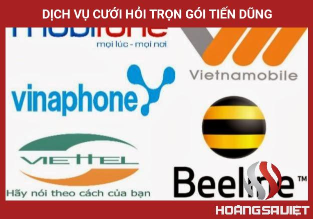 Dịch Vụ Cưới Hỏi Trọn Gói Tiến Dũng Dịch Vụ Cưới Hỏi Trọn Gói Tiến Dũng