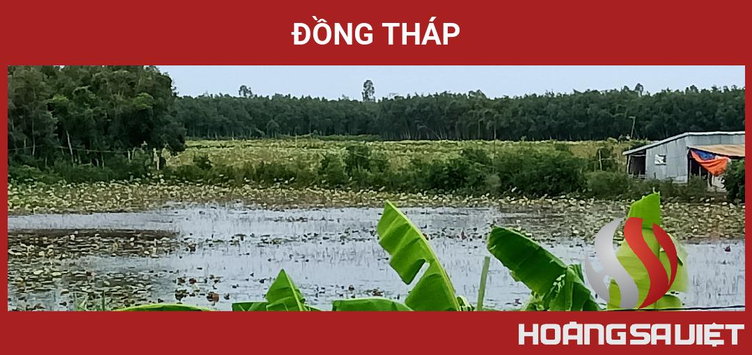 Đồng Tháp Đồng Tháp