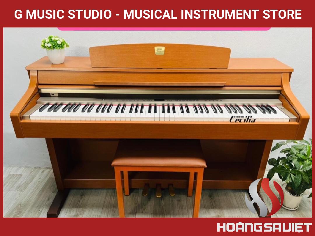 G Music Studio - Musical Instrument Store G Music Studio - Musical Instrument Store