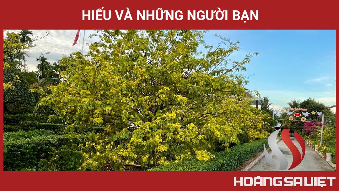 Hiếu Và Những Người Bạn Hiếu Và Những Người Bạn