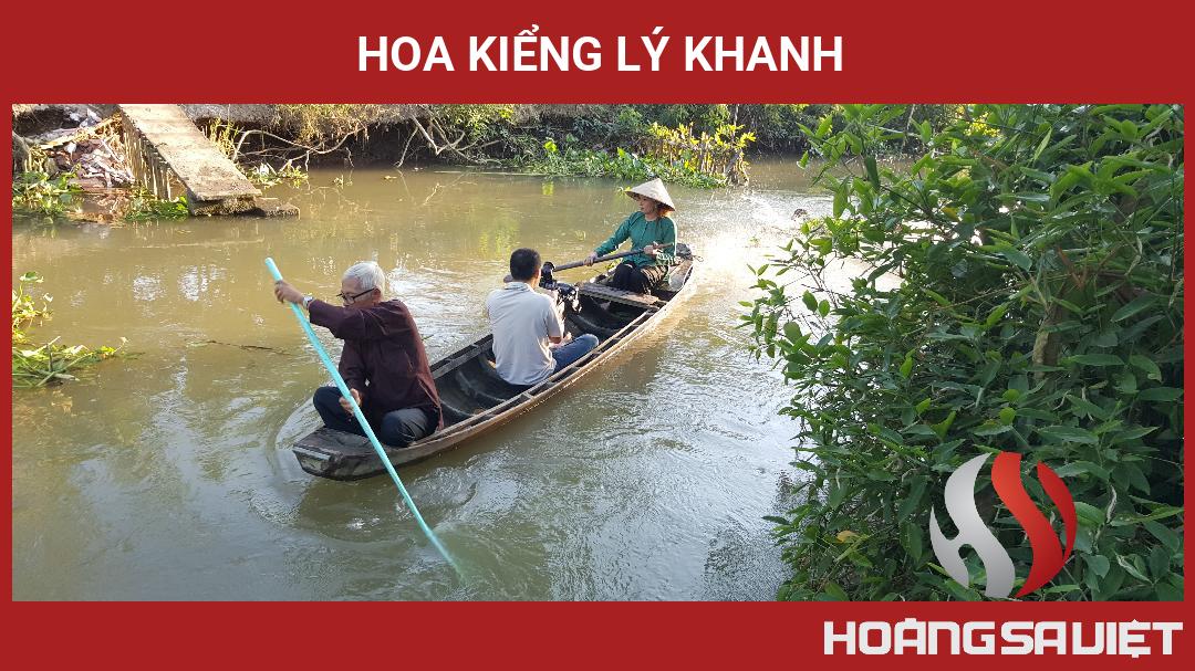 Hoa Kiểng Lý Khanh Hoa Kiểng Lý Khanh