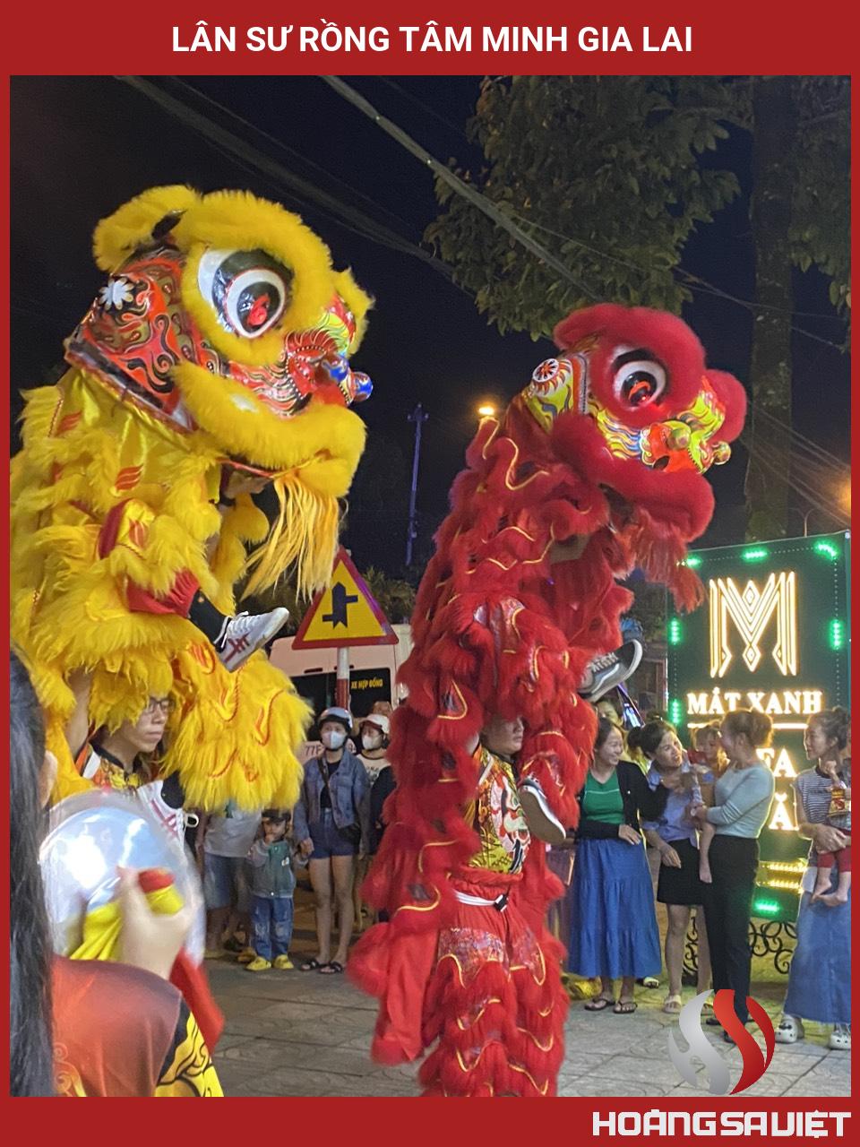Lân Sư Rồng Tâm Minh Gia Lai Lân Sư Rồng Tâm Minh Gia Lai