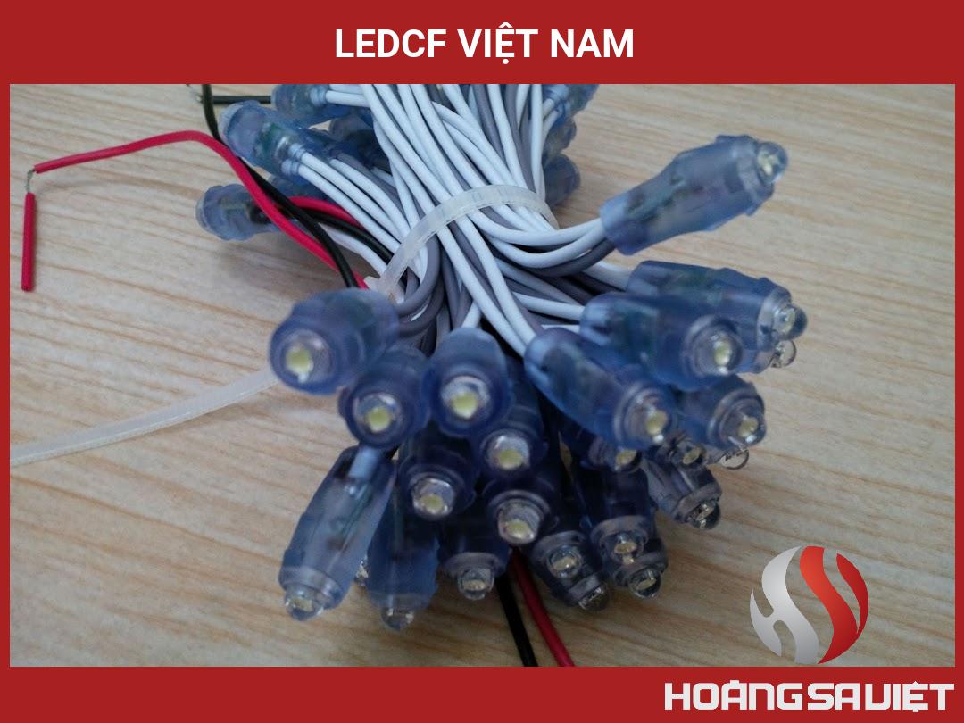 LedCF Việt Nam LedCF Việt Nam