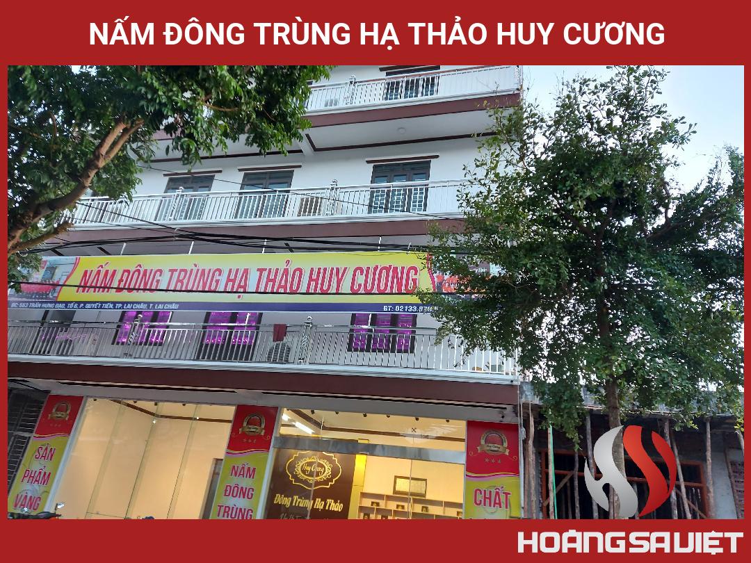 Nấm Đông Trùng Hạ Thảo Huy Cương Nấm Đông Trùng Hạ Thảo Huy Cương