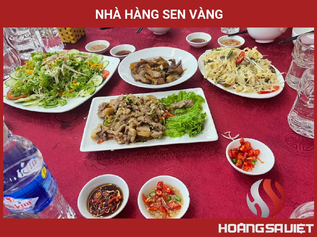 Nhà Hàng Sen Vàng Nhà Hàng Sen Vàng