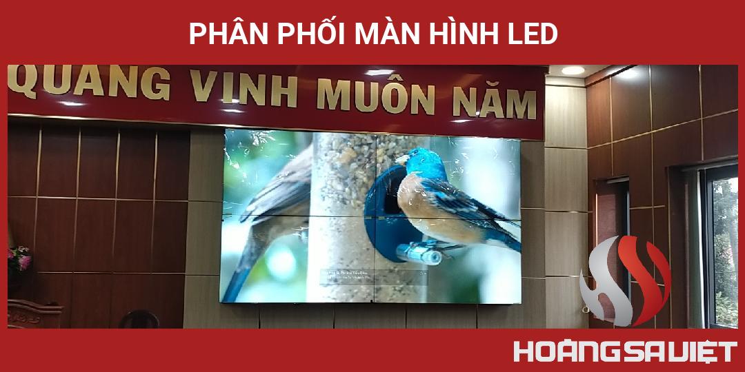 Phân Phối Màn Hình LED Phân Phối Màn Hình LED