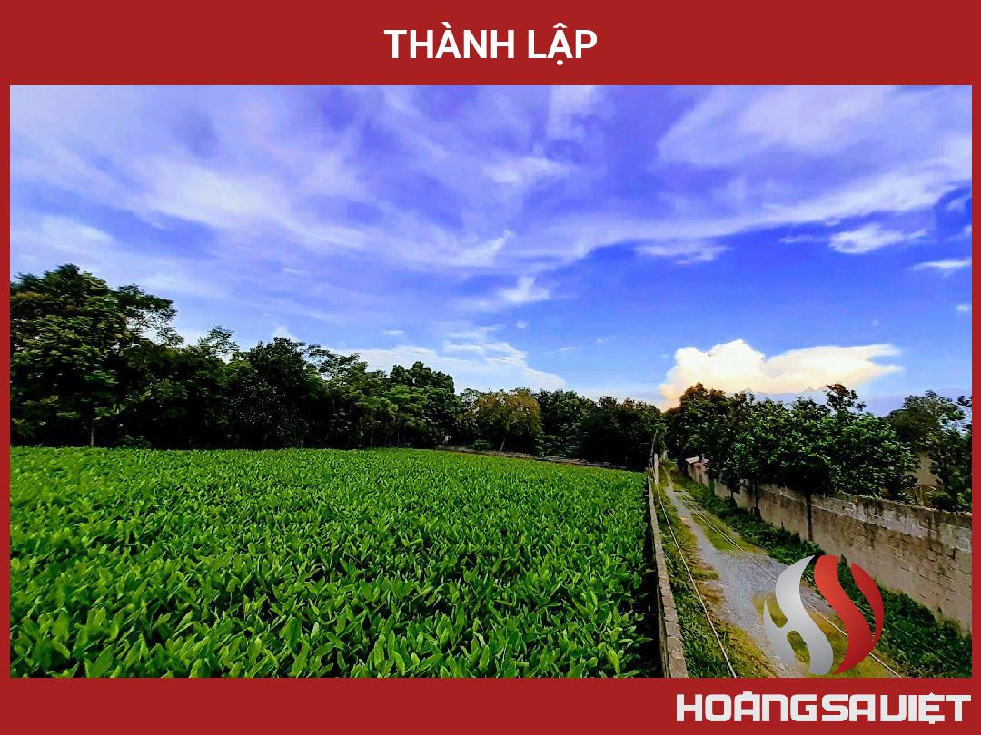 Thành Lập Thành Lập
