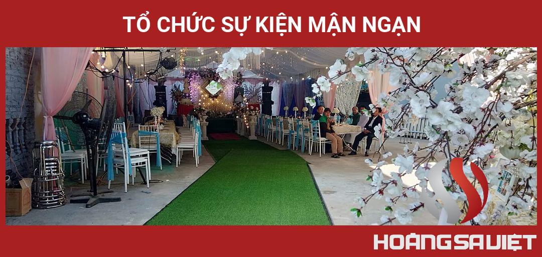 Tổ Chức Sự Kiện Mận Ngạn Tổ Chức Sự Kiện Mận Ngạn
