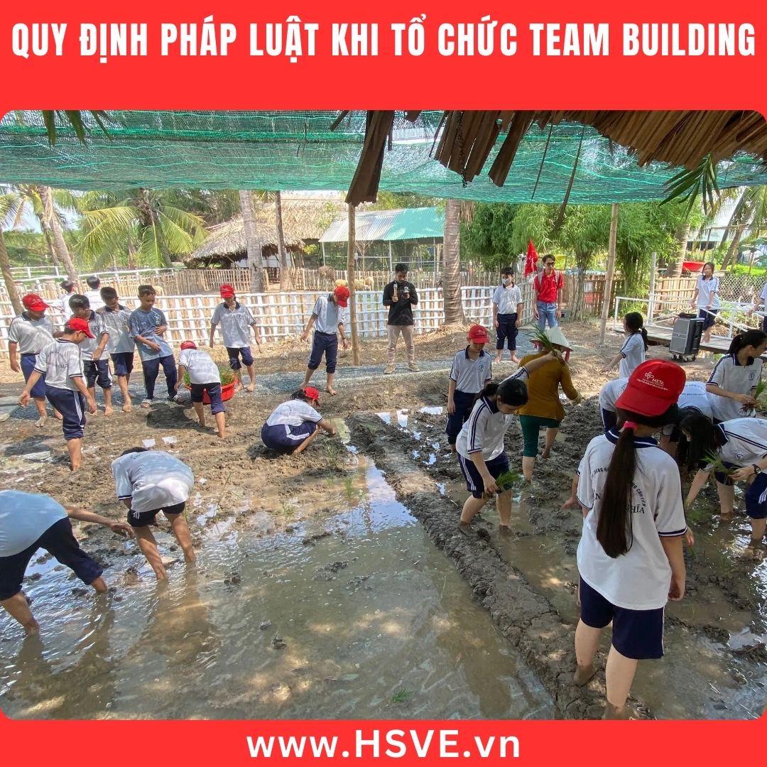 Quy Định Pháp Luật Khi Tổ Chức Team Building